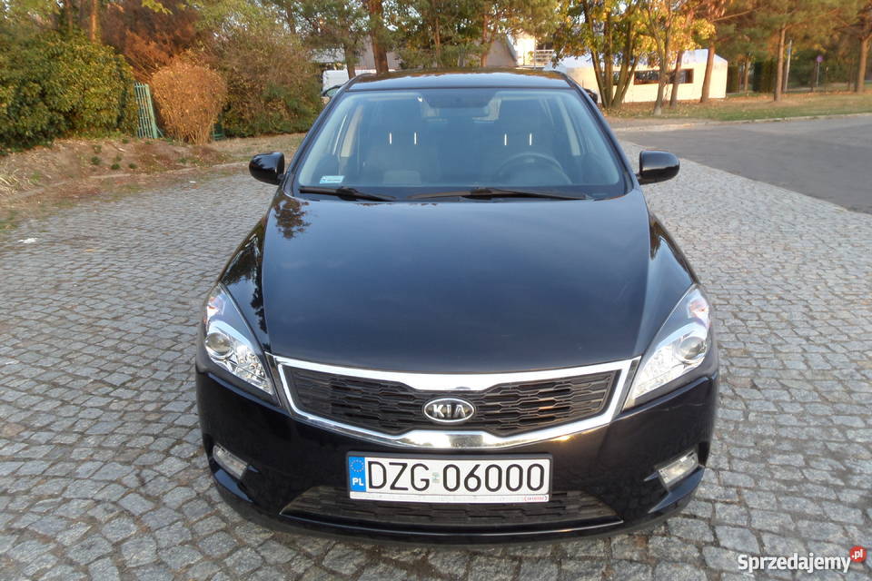 Kia ceed salon Polska PIERWSZY WŁAŚCICIEL Zgorzelec