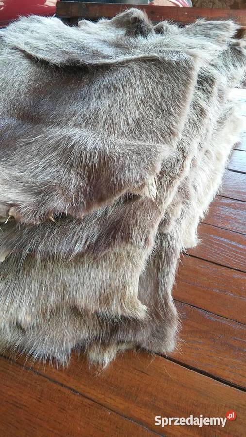 skóry z nutrii Kłomnice