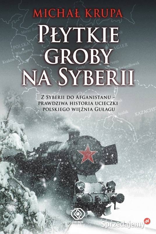 książka Płytkie groby na Syberii ISBN 9788381884518 Warszawa