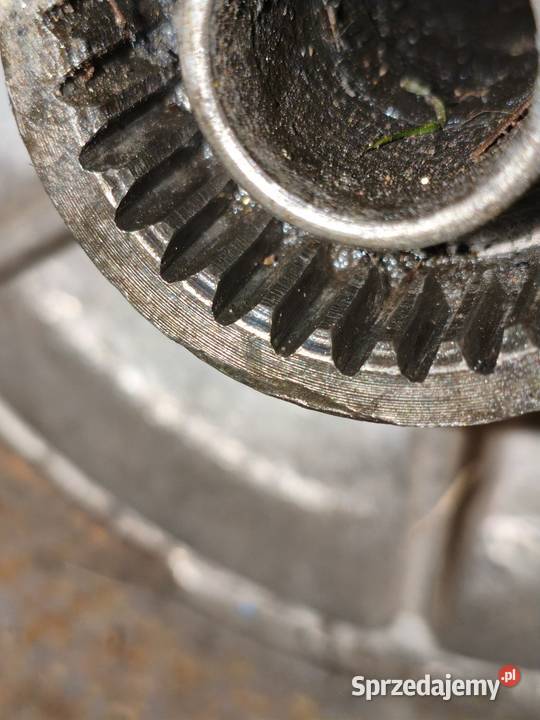 Koło R19 Dniepr MT K650 wielkopolskie Leszno