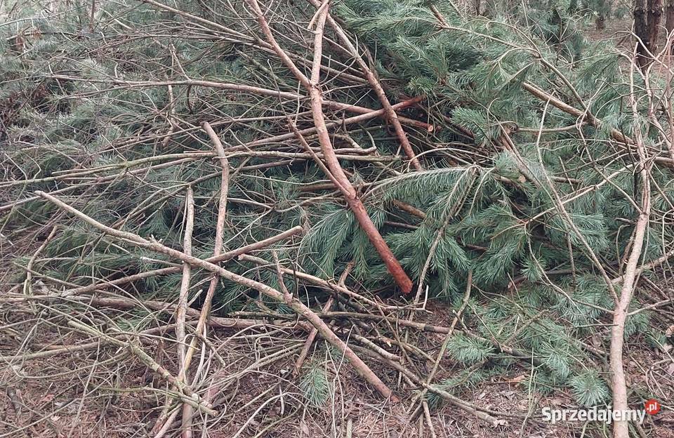 Oddam gałęzie gałęziówka opał drewno