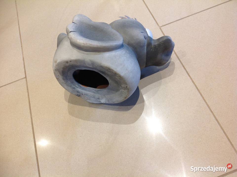 Kaczka Szara Nowa Sól