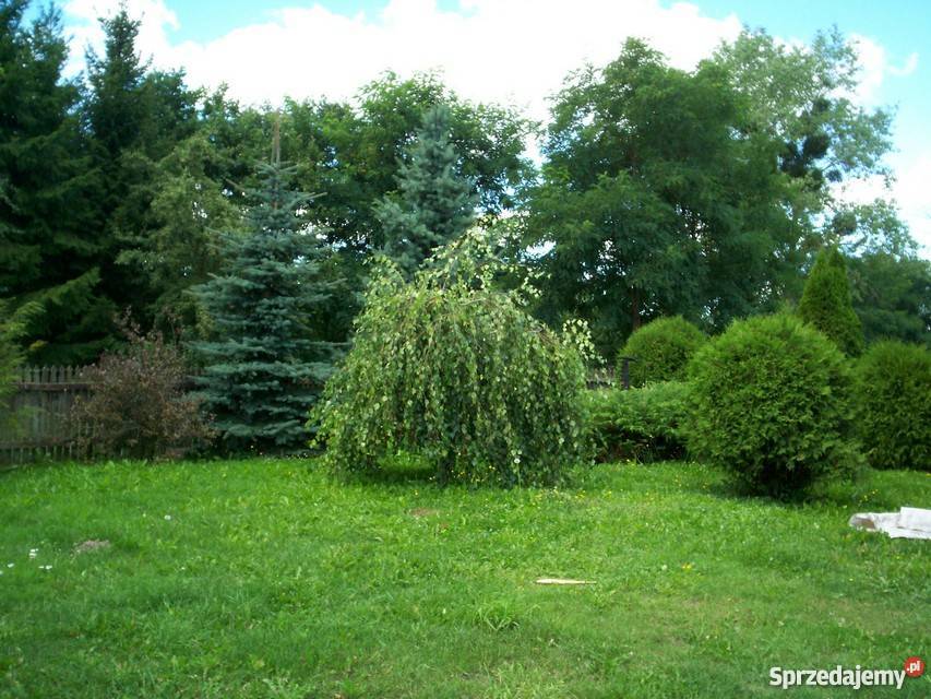 Dom jednorodzinny remocie Kętrzyn