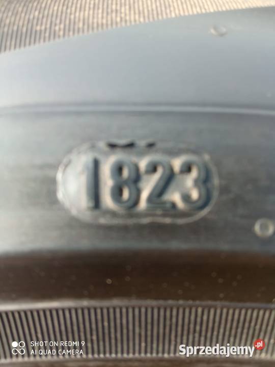 Opony letnie Pirelli Koźminek