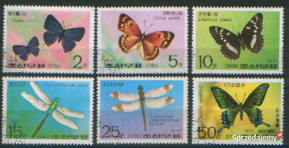 Zn Korea Mi 1653 8 x 4 kas 1977 Filatelistyka Gliwice sprzedam