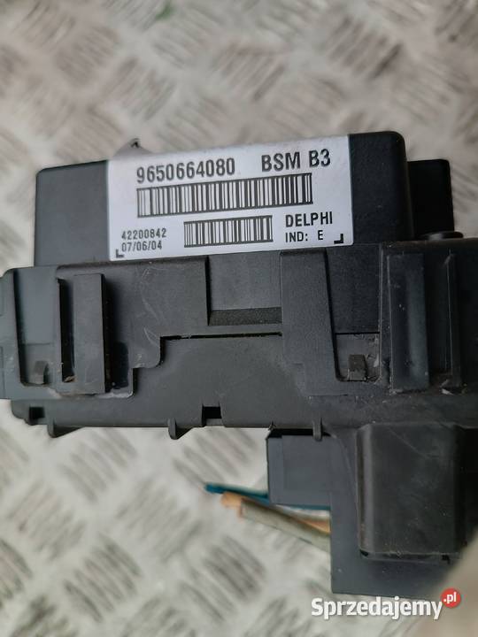 9650664080 Moduł BSM Peugeot 307 Części samochodowe Niwka