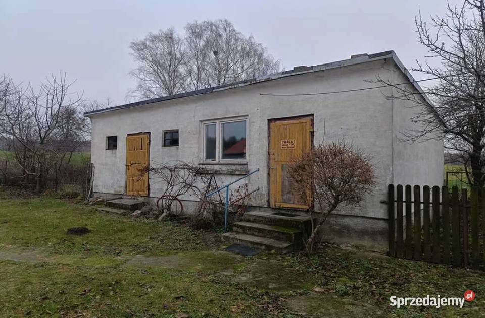 Bachus 9 Gospodarstwo 906 ha z budynkami