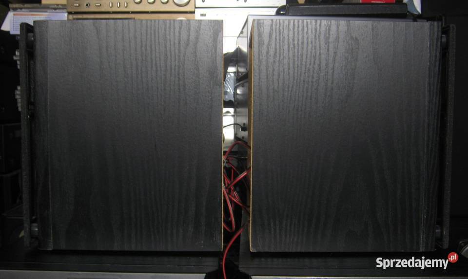 Kolumny Panasonic SBPM46 eleganckie i sprawne Elektronika