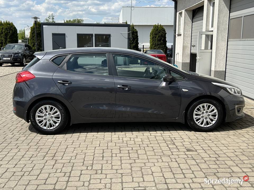 KIA CEED 16 Benzyna 136 Automat Salon Polska Białystok