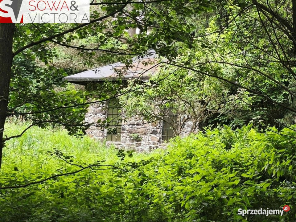 Dom bez sąsiedztwa działka 9300 m 2 Walim