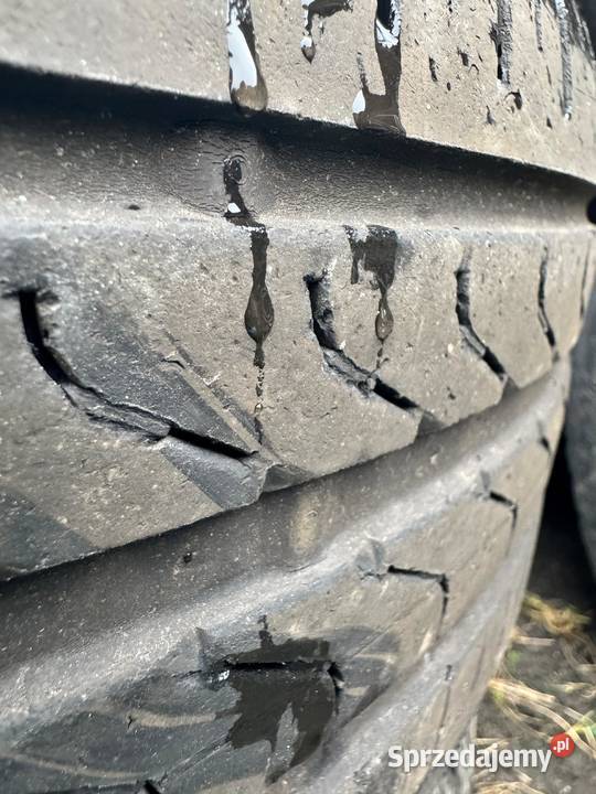 2x Opony Pirelli Cinturato 24540 R19 kujawsko-pomorskie sprzedam