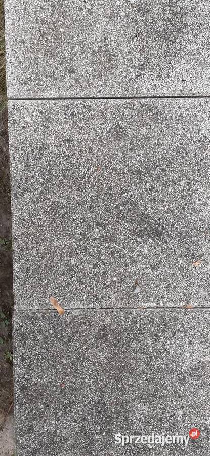 płytki chodnikowe mrozoodporne Poznań