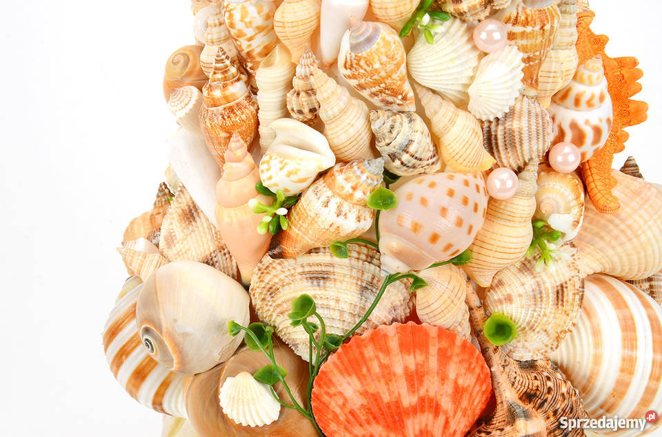Stroik z muszli morskich Pruszcz Gdański