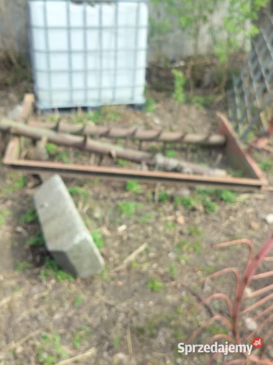 Rozrzutnik Miłochniewice