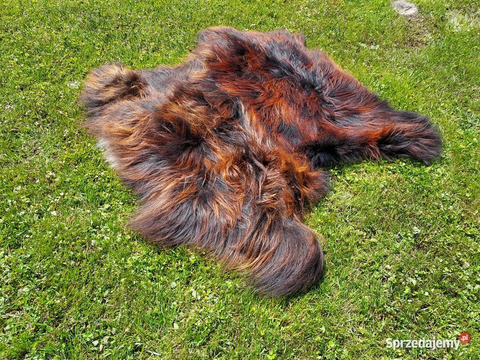 Dywanik Skórzany Dwie Zszywane Skóry Owcze Szaflary