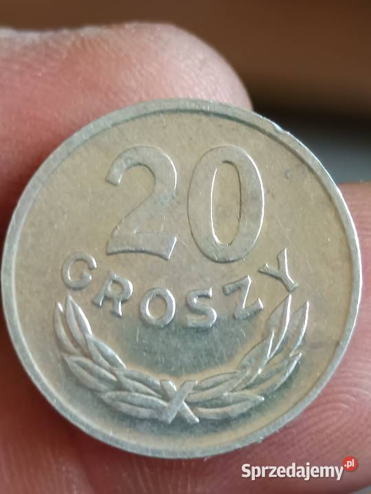 Sprzedam 20 gr 1981 r skrętka sprzedam