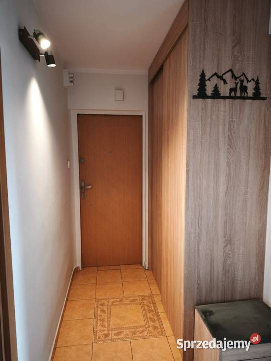 Słoneczne 3 pokoje z widokiem na zieleń 634 m Łódź