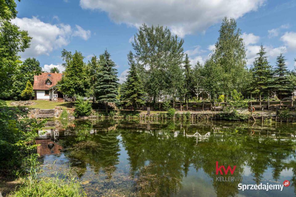 Dom wolnostojący 930m2 Mściszewo wolnostojący Sprzedaż