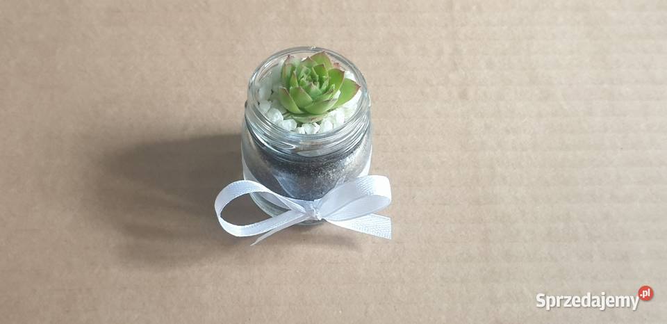 Podziękowania gości łódzkie Łódź