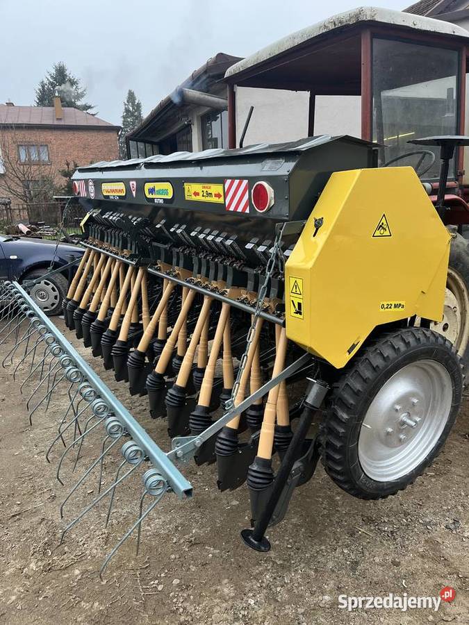 Siewnik poznaniak Jarosław