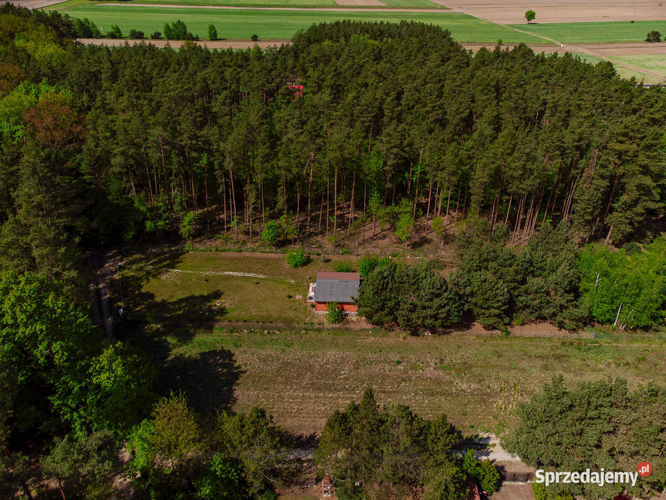 Oaza spokoju działka 1700m2 mazowieckie 171zł/m2 mazowieckie Śliski