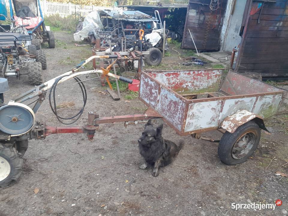 2 x Traktorek MotoWolk jednoosiowy dwa biegi do Tarnobrzeg