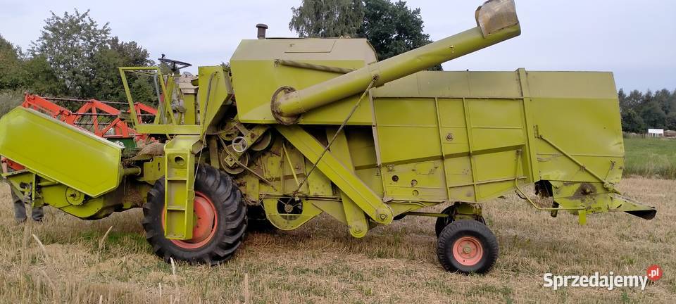 CLASS CONSUL Rolnictwo Wolbrom