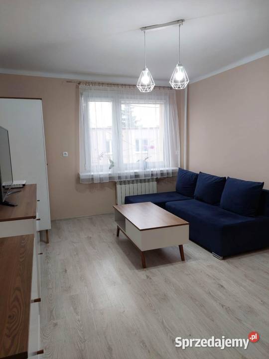 Wynajmę mieszkanie dwupokojowe 36m2 Odonów koło Liczba pokoi 2 Kazimierza Wielka