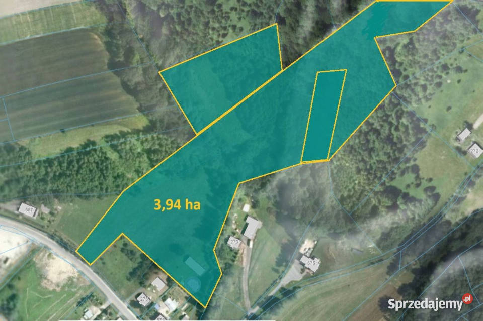 Działka 39400m2 Święcany