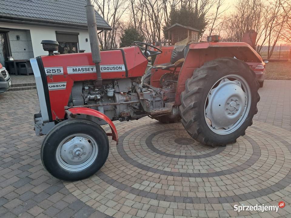 mf 255 w orginale 1986 sprzedam