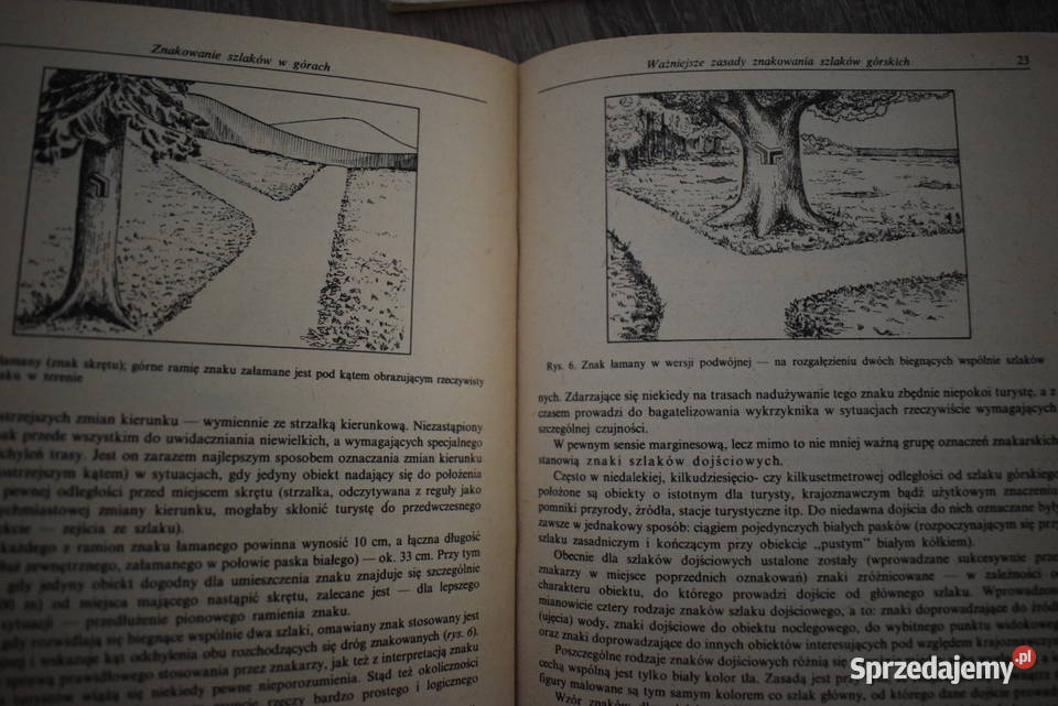 Spływ przełomem Pienińskim Podstawy Antyki, Sztuka, Kolekcje Chełmno