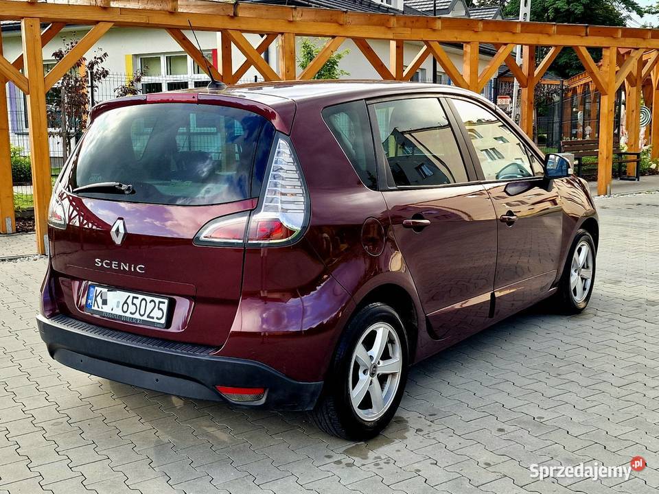 Renault Scenic III Lift 15 DCi Navi Bluetooth bluetooth Ryglice