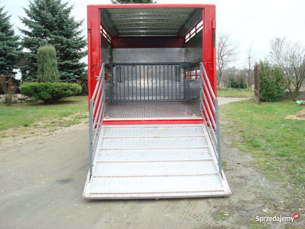 IVECO 35C11 VIEHTRANSPORTER DO PRZEWOZU ZWIERZĄT zarejestrowany w Polsce Kolbuszowa