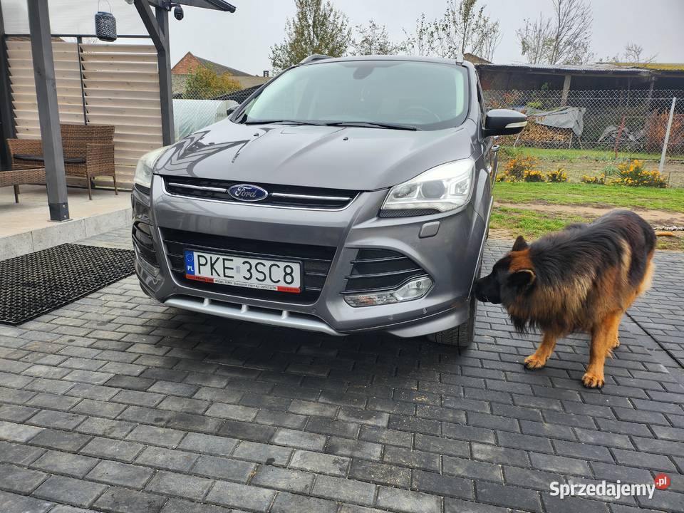 Kuga automatyczna wielkopolskie Laski