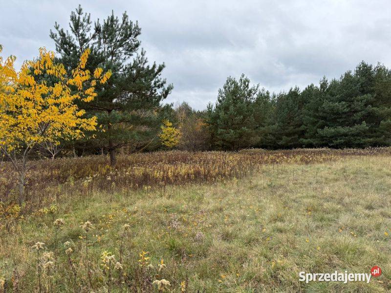 Duża działka z warunkami zabudowy w prąd sprzedam