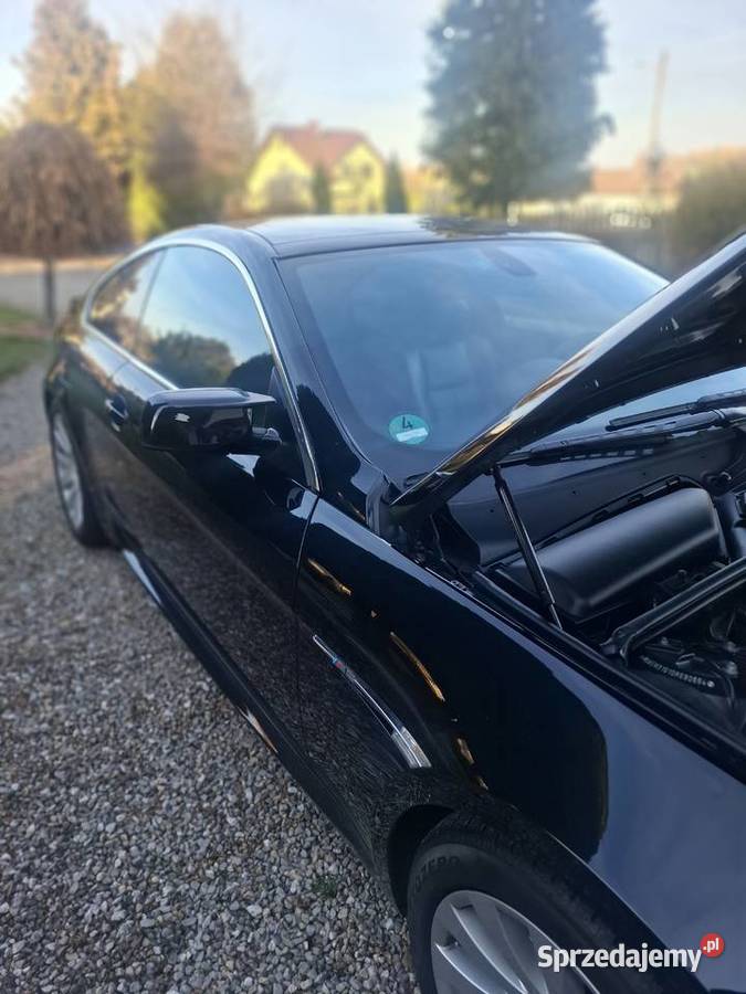 BMW E63 630i nieuszkodzony śląskie Kleśniska