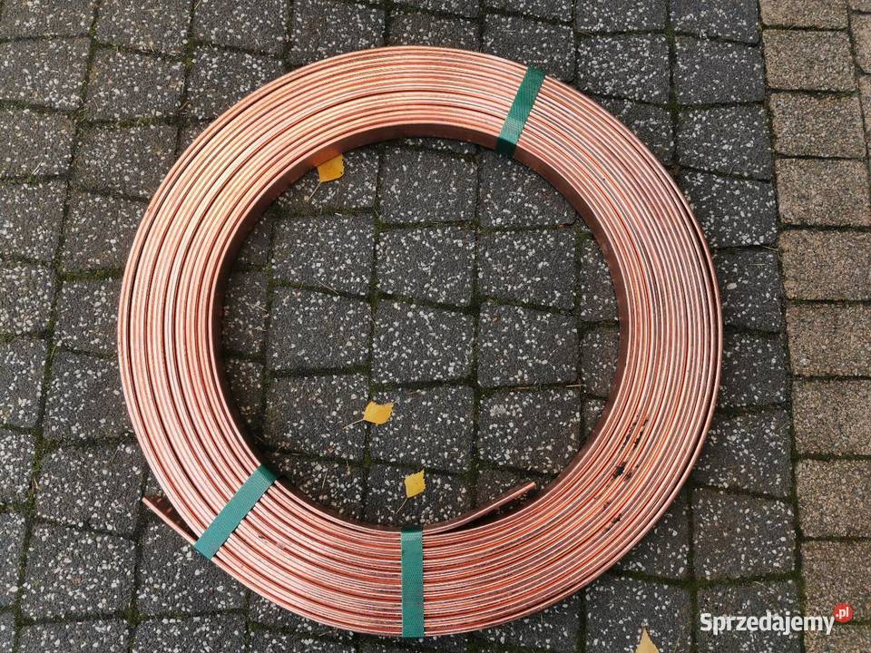 Bednarka pomiedziowana sprzedam