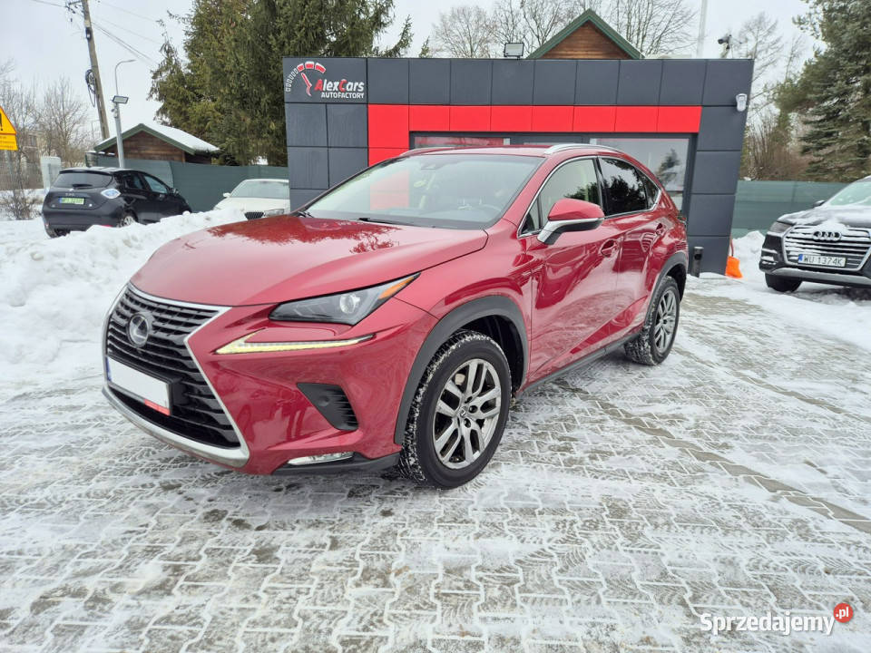 Lexus NX Bezwypadkowy I 20142021 Konstancin-Jeziorna sprzedam