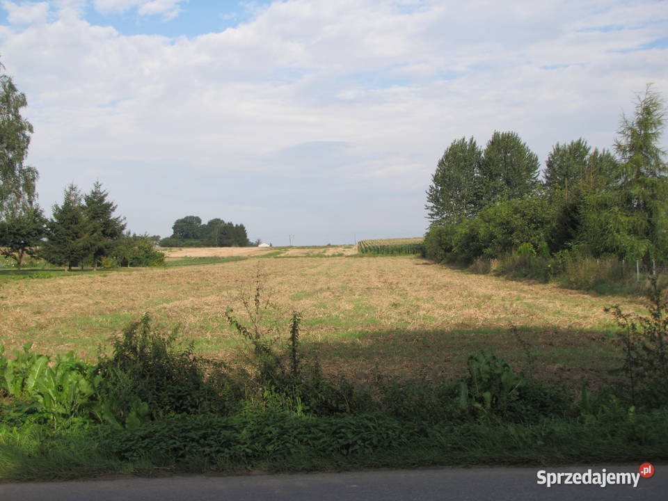 Działka budowlanorolna 065 ha Charlęż