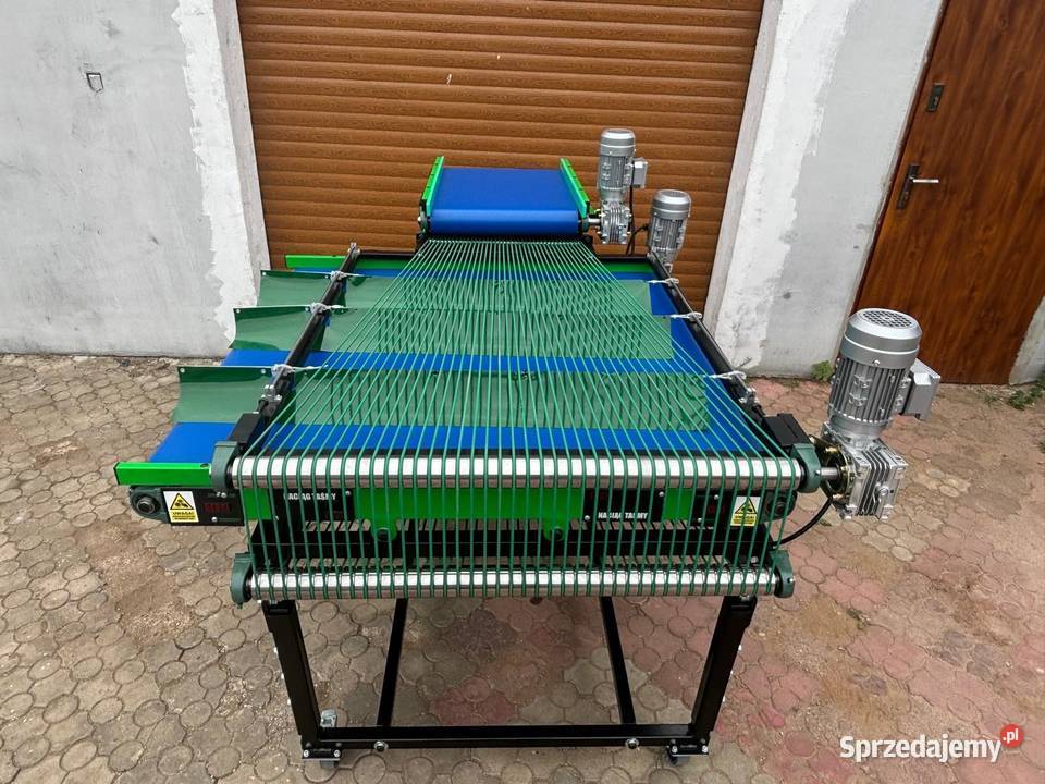 Maszyna do sortowania borówki łódzkie Rogóźno
