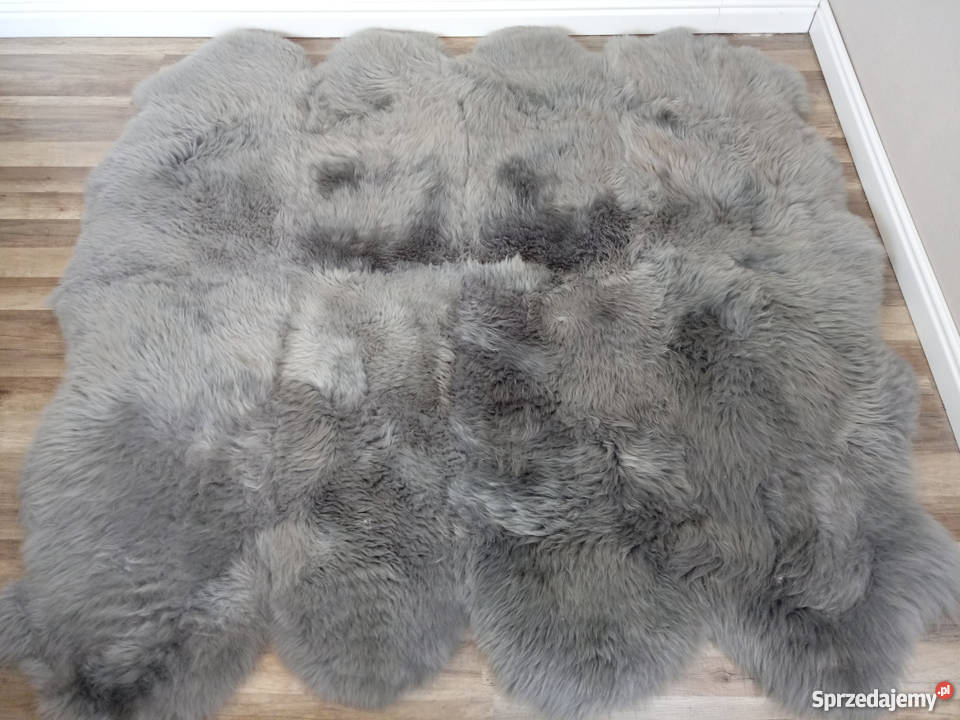 Skóra Owcza Szara Dywan Narzuta Z 8 skór Skóry Szaflary