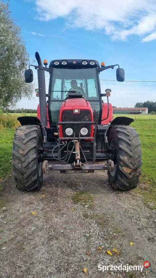 Ciągnik Massey Ferguson 6465 Ostrów Wielkopolski sprzedam