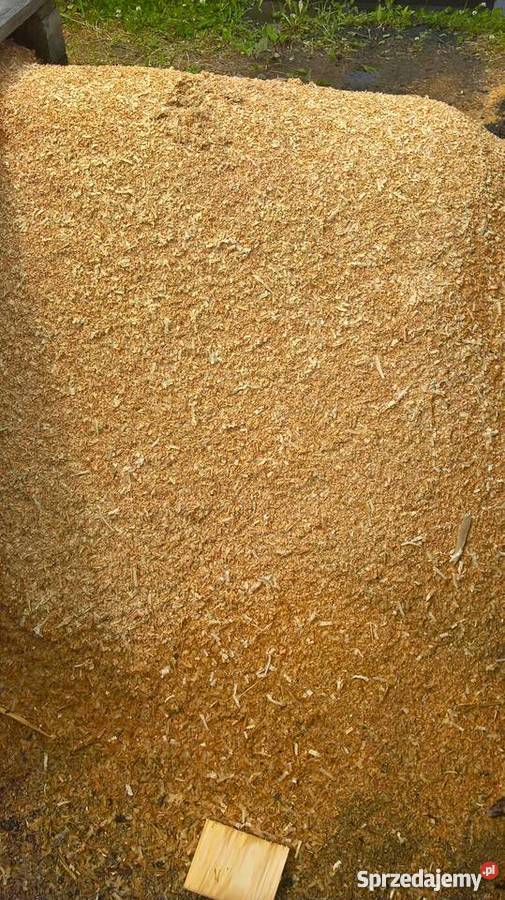 trociny sosnowe pakowane 50 l Józefów sprzedam