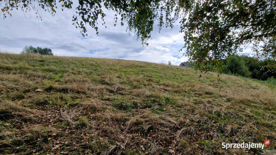 sprzedaży gruntu Zegartowice 19800m2 woda Grunty i działki
