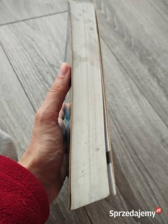 cmentarzysko bezimiennych statków arturo perez Poznań