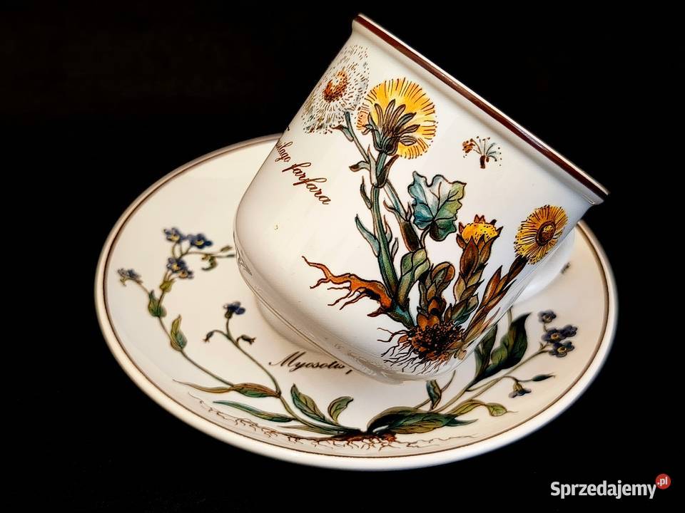 Zestaw kawowy Villeroy Boch Botanica Chełm