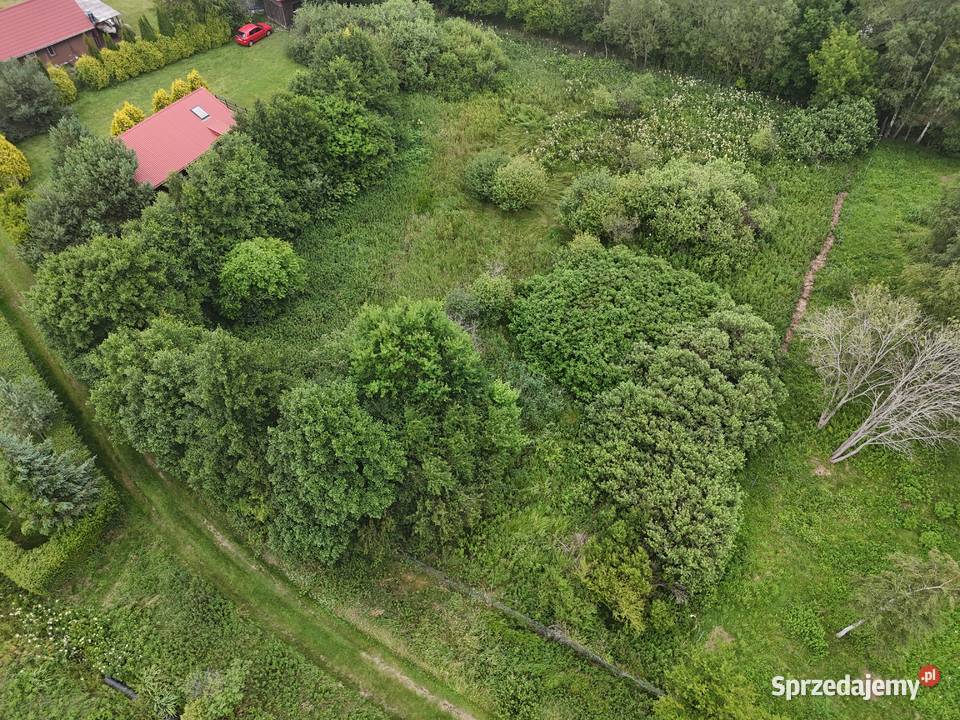 Syndyk sprzeda działkę Ostrowo Kolonia
