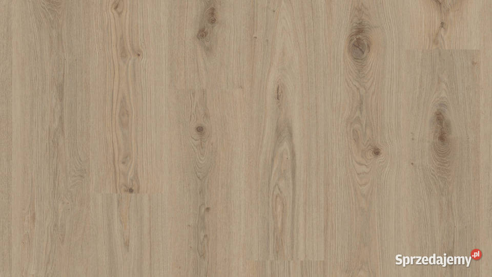 TARKETT Podłoga winylowa Delicate Oak Natural Zielona Góra