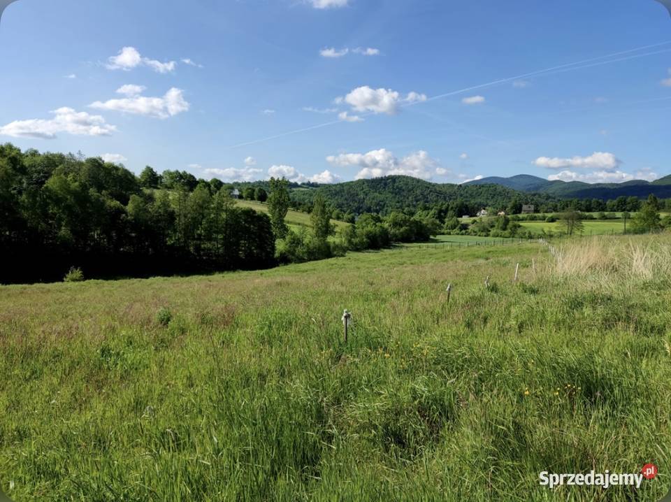 Działka budowlana Dąbie gmina Raciechowice 65zł/m2