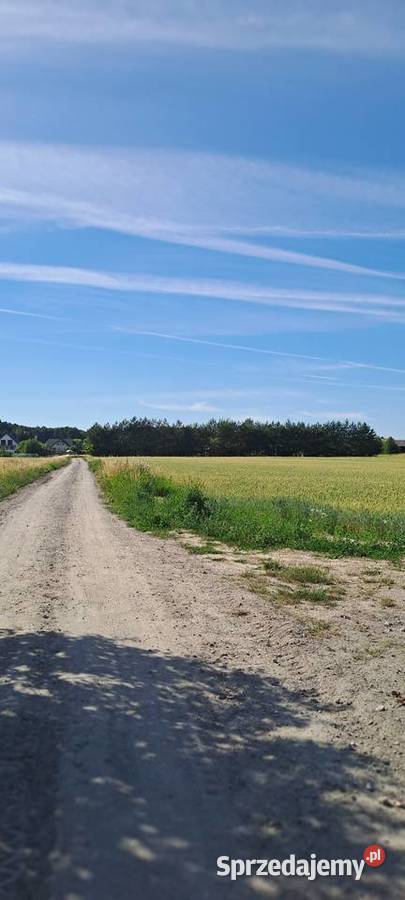 Działka budowlana na Roztoczu 10 Zamościa 85zł/m2 Wieprzec